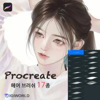 프로크리에이트 머리카락 헤어 브러쉬 Procreate Brush 17종 No.1001