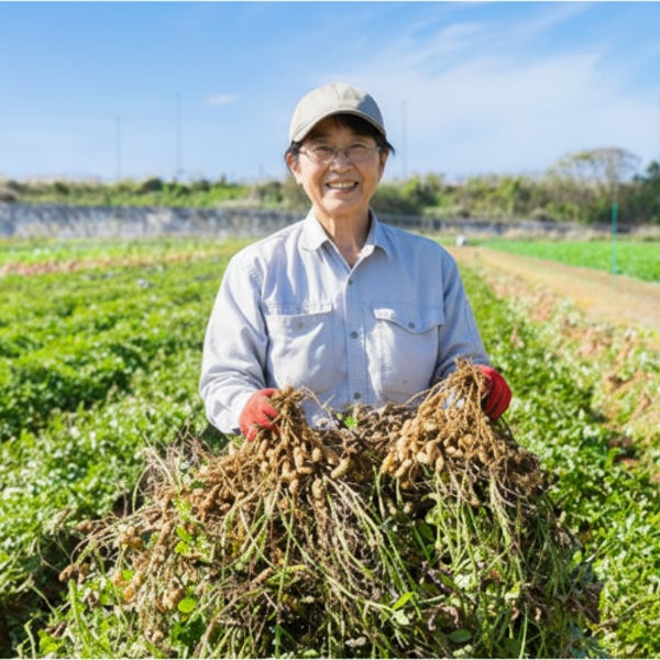 2026 산지직송 땅콩 피땅콩 햇땅콩 국산 하우스 노지 흙땅콩 생땅콩 1kg