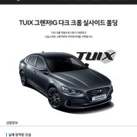 TUIX 튜익스 그랜저iG 사이드실몰딩 무료배송!