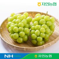 경산자인농협 하우스 샤인머스켓 1.5kg/2kg