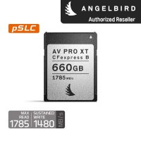 [디원몰] 엔젤버드 ANGELBIRD AV PRO CFexpress Type B XT MK2 (660GB)