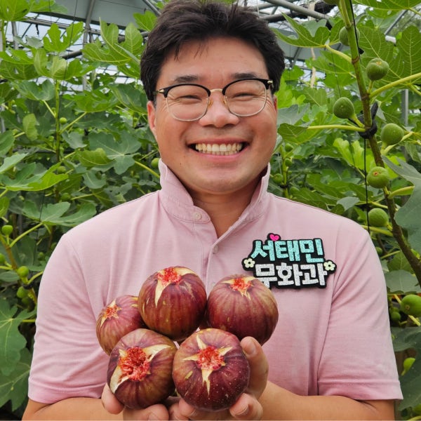[무농약] 껍질째 먹는 친환경 당일수확 행복한무화과 1.2kg