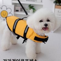 애견구명조끼 강아지 소형견 물놀이 댕댕이 애견튜브 용품 반려견 중형견