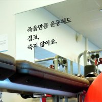 헬스장 스티커 레터링 글자컷팅 글씨 시트지 다이어트 명언 스티커