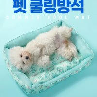 강아지 쿨 방석 냉 매트 쿨링 아이스 팩 애견 고양이 / 도로시