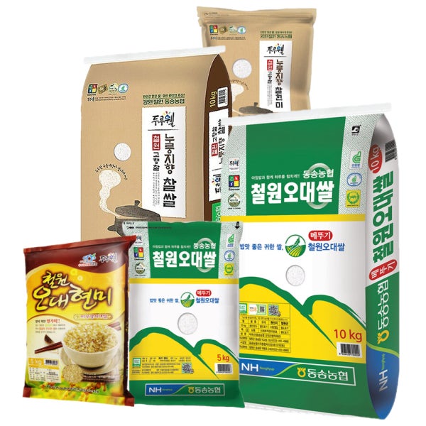 동송농협 철원오대쌀 5kg 10kg 백미 현미