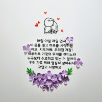 현관레터링 / 레터링 시트지 / 생일 이벤트 / 입체꽃장식 / 벽장식