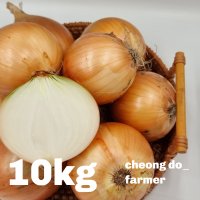 [청도청년농부] 단단한 햇양파 10kg