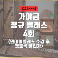 (첫달 할인가) 가야금 정규 클래스 4회