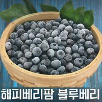 햇 블루베리 1kg 국내산 급냉 위생포장 과육 다이어트 샐러드 혼술 안주 집들이선물