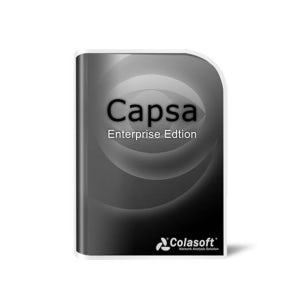 Capsa Enterprise 5 Seat License w/ 1 year maintenance (ESD) 콜라소프트캡사