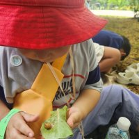 서울 성동구 서울숲 숲파티포레 8월 여름 방학 키즈 숲 체험 어린이 야외 놀거리