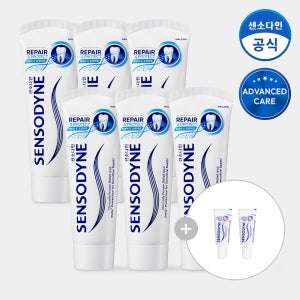 센소다인 리페어 앤 프로텍트 치약 100g, 6개