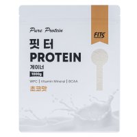 핏츠 핏터 초코맛 게이너 단백질 보충제 1kg