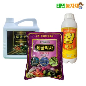 제균박사 황박사 루멘토 3종세트 뿌리발근제 예방 관리 영양제