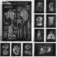 인체 포스터 골격 근육 뼈 해부도 건축 의료 해부학 캔버스 벽 그림 프린트 현대 척추