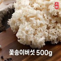 100%국내산 꽃송이버섯 500g