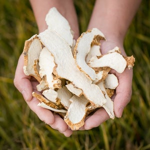 국산 단풍마(절) 200gX2 마 가을 뿌리 구산약 말린 건조 건 차 한방 약재