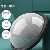 코어운동기구 코어볼 중심잡기 필라테스 밸런스볼 돔볼