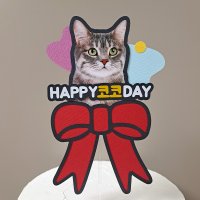 반려동물토퍼 사진토퍼 생일토퍼 고양이강아지