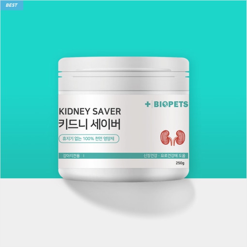 강아지 신장 영양제 방광염 신부전 요로 결석 방광 키드니세이버