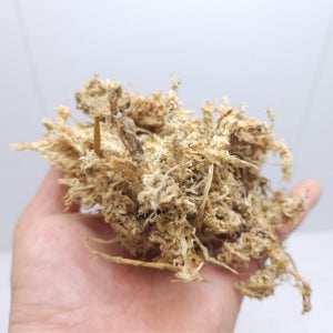 천연 고급 수태 75g 테라리움 만들기 비바리움 DIY