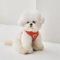 베니즈 원터치 하네스 가슴줄 소형견 중형견 bennys 오렌지 S