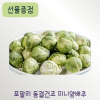 포말리 동결건조 미니양배추(85g) 강아지간식
