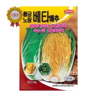 배추씨앗 황금노랑베타배추 5만립 베타카로틴 고함유