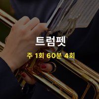 [MCMI 음악학원 분당] 트럼펫 클래스 / 한달 4회권 / 1:1 개인 레슨