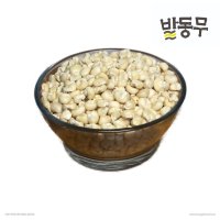 국내산 23년 햇 대학찰 옥수수 알갱이 1kg 말린 건조