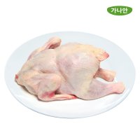 가나안식품 삼계탕용 생닭 영계 특대 600g 1마리 외 1종 백숙 통닭구이 개별 진공포장