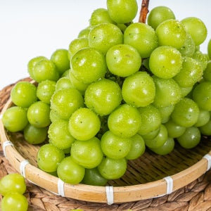 고당도 송산 샤인머스켓농장 2kg 4kg 수출용 가정용 제철 추석 명절 선물세트
