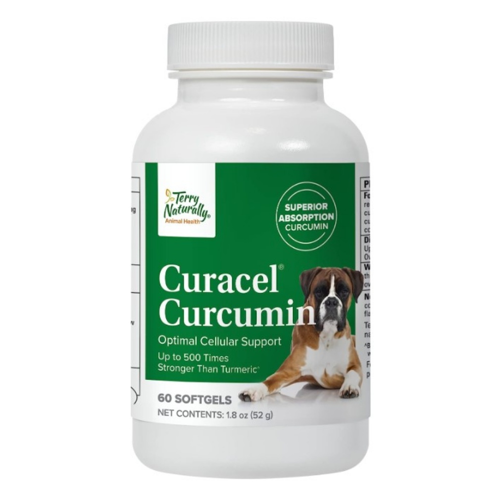 <b>테리내추럴리</b> x Curacel Curcumin 커큐민 강아지 반려견 보충제 60정