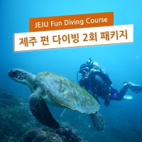 제주 PADI 펀다이빙 투어 제주도 투어 스킨 스쿠버다이빙 여행