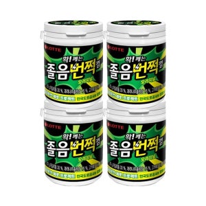 롯데웰푸드 졸음번쩍껌 87g x 4개