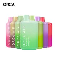 ORCA AIR 오르카 에어 일회용 전자담배 워터멜론