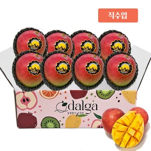 ★설전 배송마감★직수입 페루 켄트 애플망고, 달콤 가득 달가망고 2kg