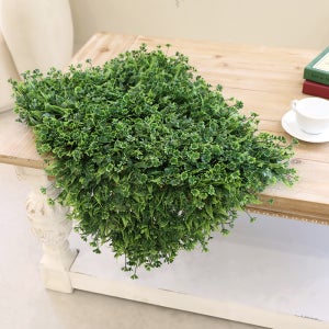 플랜트월 스마트가든 인테리어 벽면녹화 수직정원 식물벽 네잎크로바