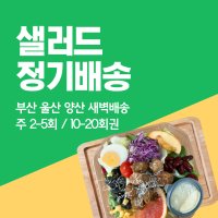 풀먹는호랑이 샐러드 정기배송 주2~5회 / 10~20회권 새벽배송 부산 울산 양산