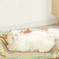 고양이 스크래쳐 우드 수직형 원형 고급 대형 소파 캣모나이트 침대 캣트리스 바구니 터널형