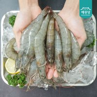 신안 왕새우 400g / 1kg (흰다리새우 생새우)