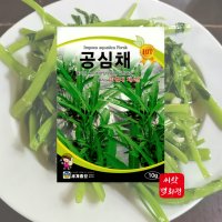 공심채씨앗 10g 공심채 종자 씨 아열대채소씨앗