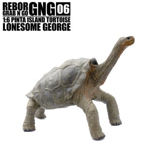 [리보] REBOR 핀타섬 땅거북 외로운 조지 LONESOME GEORGE 동물 피규어