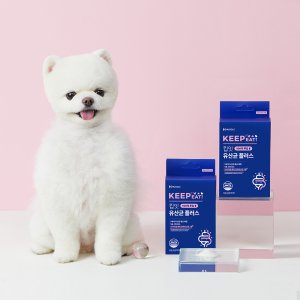 포메라니안 장 건강, 허글 킵잇 유산균 플러스