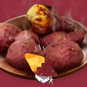 국내산 달콤촉촉한 친환경 호박고구마 2kg 4kg