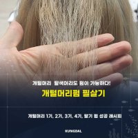 개털머리펌 필살기 탈색머리 산성펌제 레시피 (전자책)