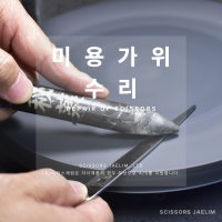 [시저스재림] 미용가위수리 가위연마 A/S (타사)