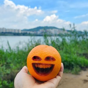킹받는 스티커 어노잉 귤 오렌지 쓸데없는 웃긴 선물 재미있는선물
