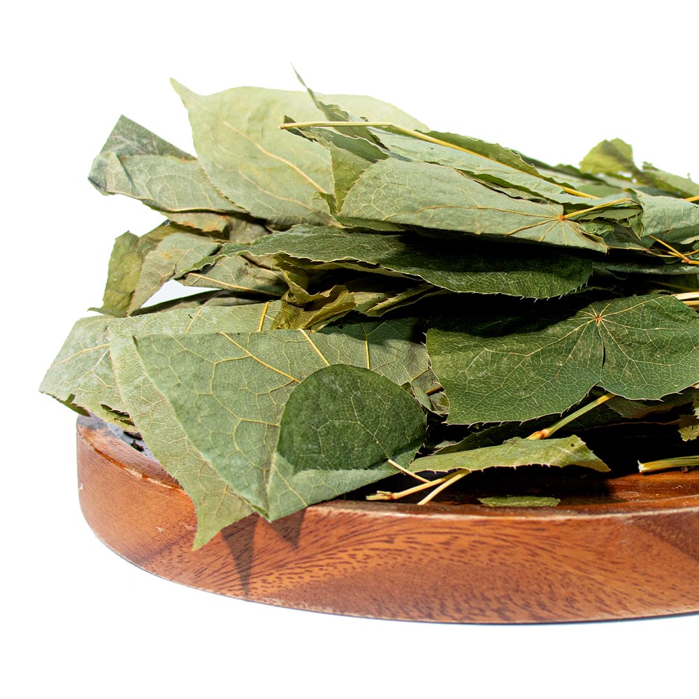 삼지구엽초 100g